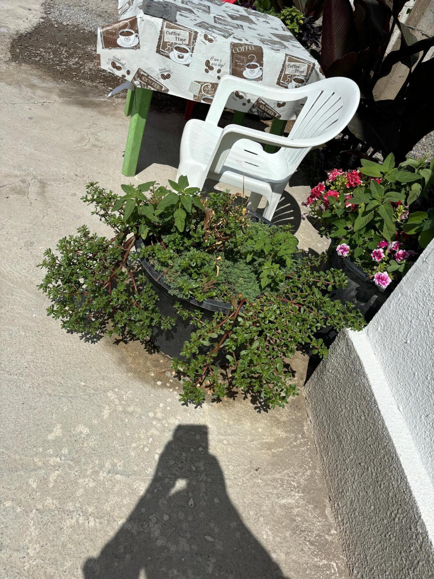 Hostel,Halal Хостел,Халал Tokmok Esterno foto